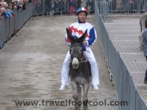 Torrita di Siena - Palio dei Somari