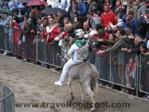 Torrita di Siena - Palio dei Somari