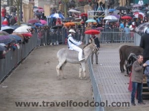 Torrita di Siena - Palio dei Somari