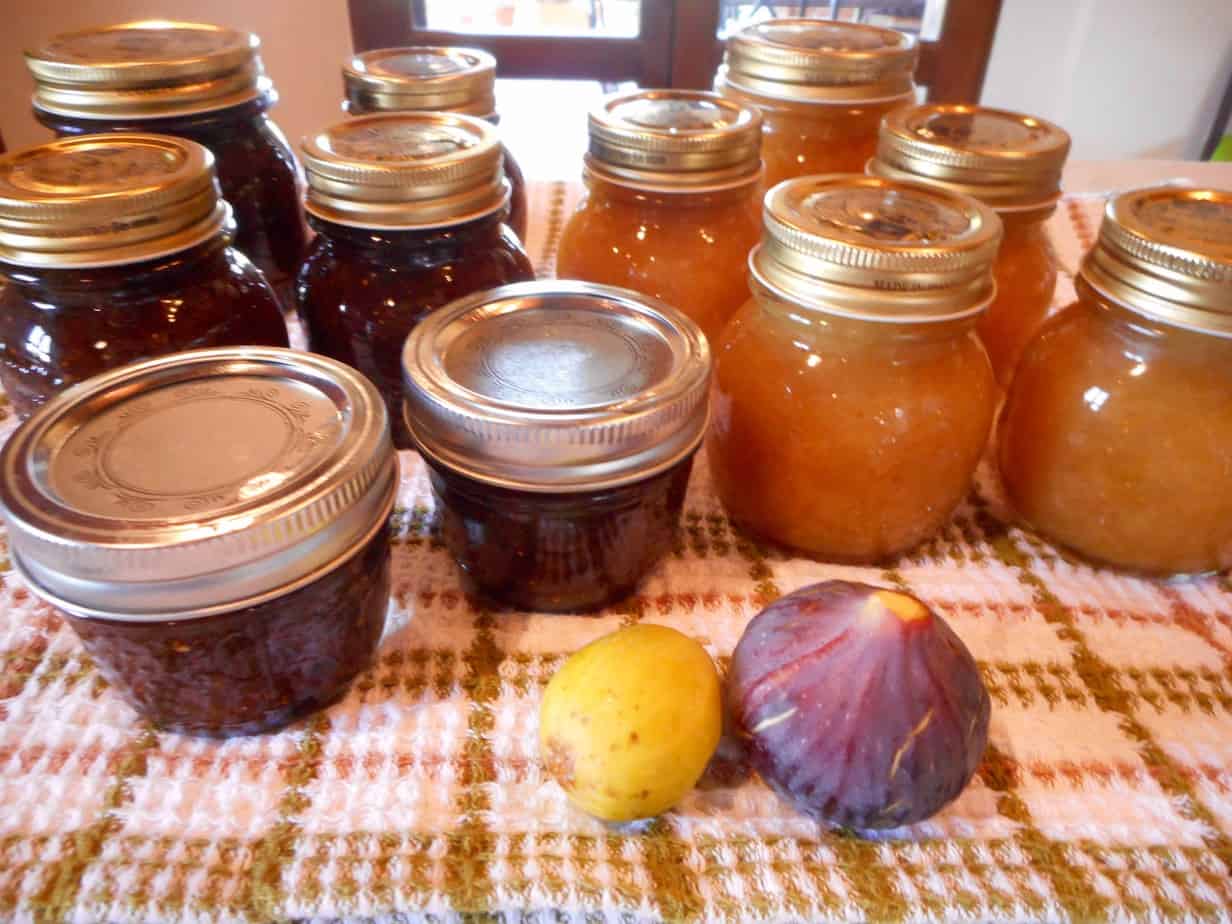 Fig Jam Two Ways