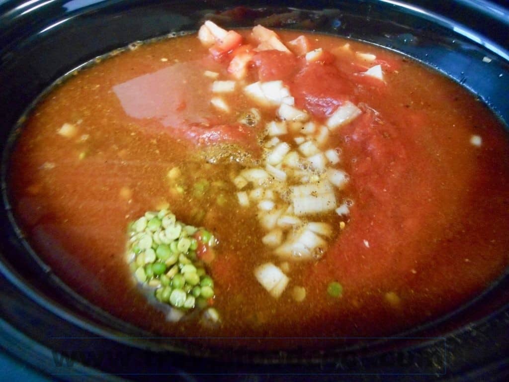 Slow Cooker Moroccan SToup