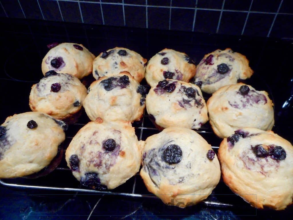 National Muffin Day: Blueberry Vanilla Lemon Muffins TravelFoodCool