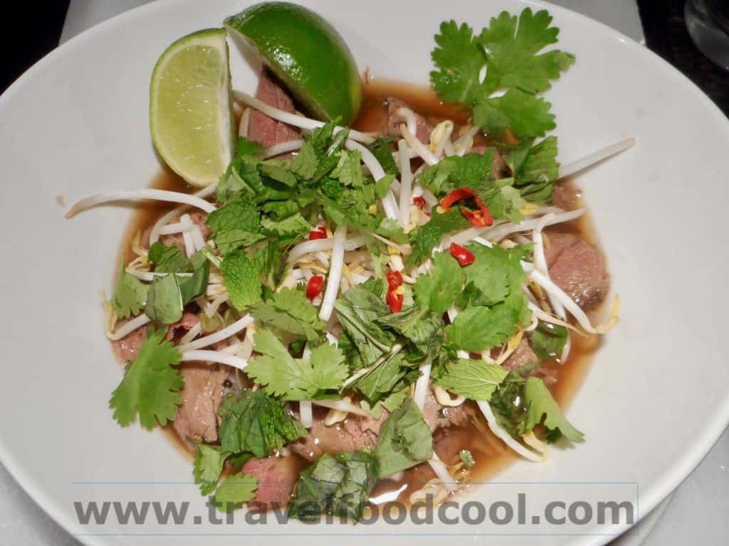 Travel*Food*Cool Faux Pho