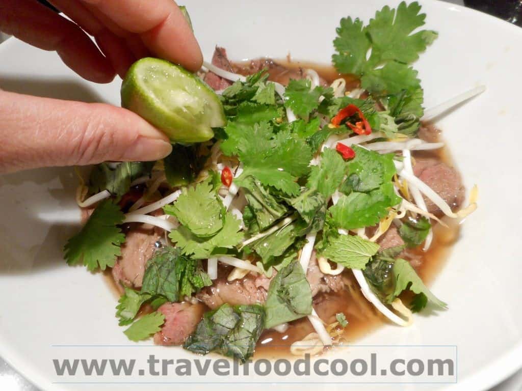 Travel*Food*Cool Faux Pho